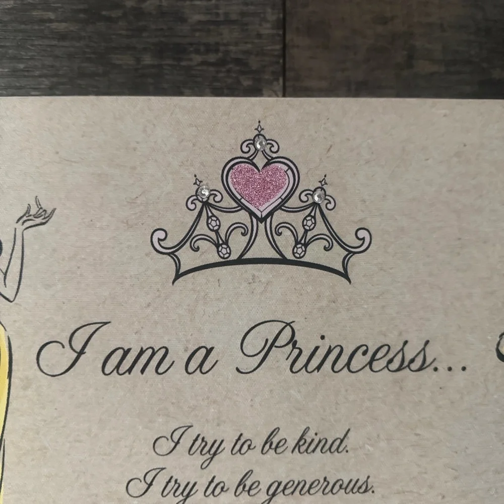 Disney Princess Themed Art Print on Canvas
